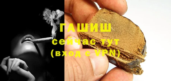 PSILOCYBIN Гатчина