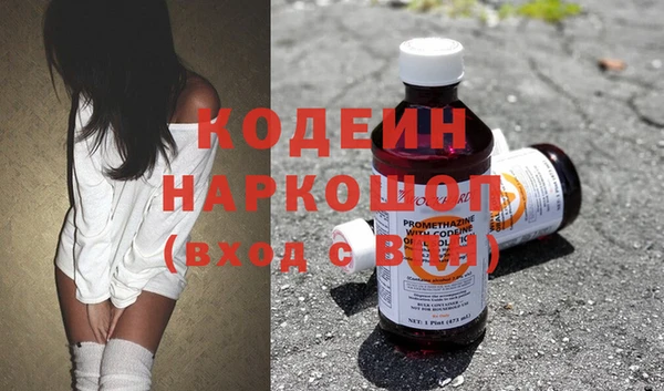 PSILOCYBIN Гатчина
