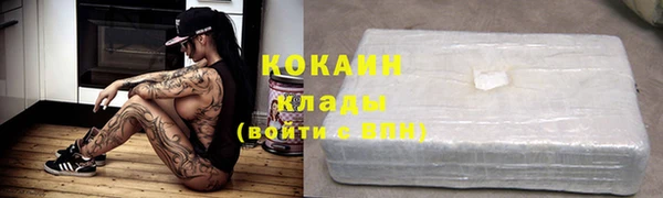 сатива Губаха