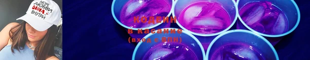 сатива Губаха