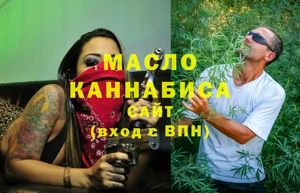сатива Губаха