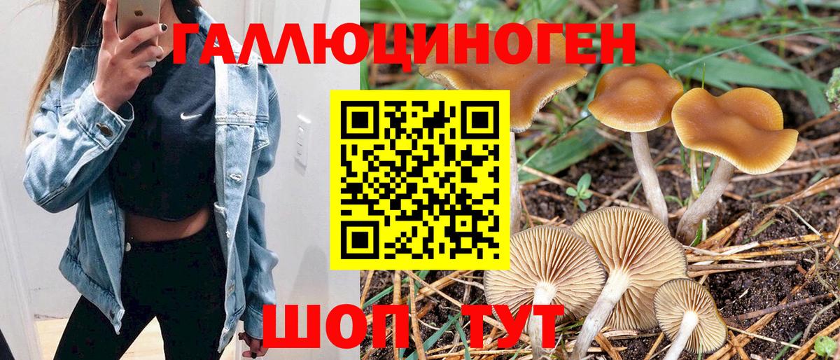 Псилоцибиновые грибы мицелий  Вход с VPN  Псилоцибиновые грибы мицелий  Асбест 