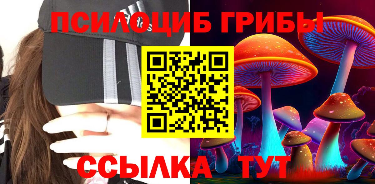 Псилоцибиновые грибы GOLDEN TEACHER Асбест